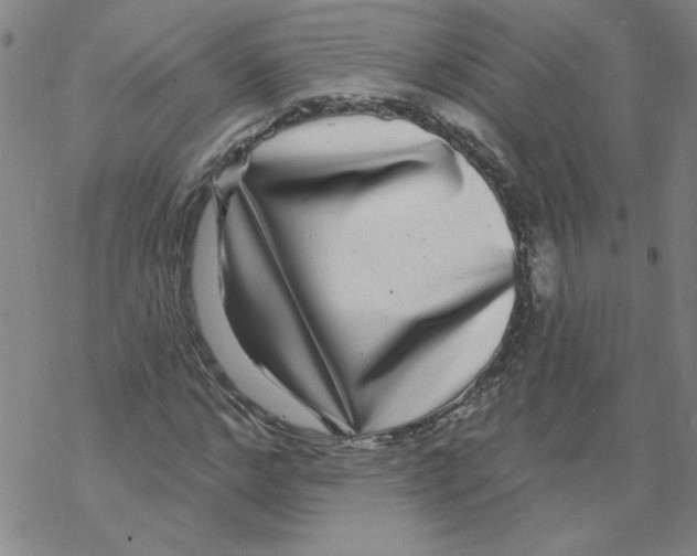 X0000067920968200605112004