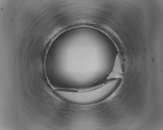 X0000067920969200605112004