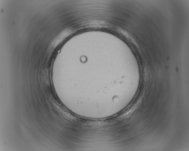 X0000067920970200605112004