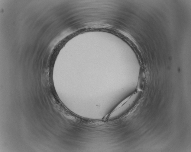 X0000067920971200605112004