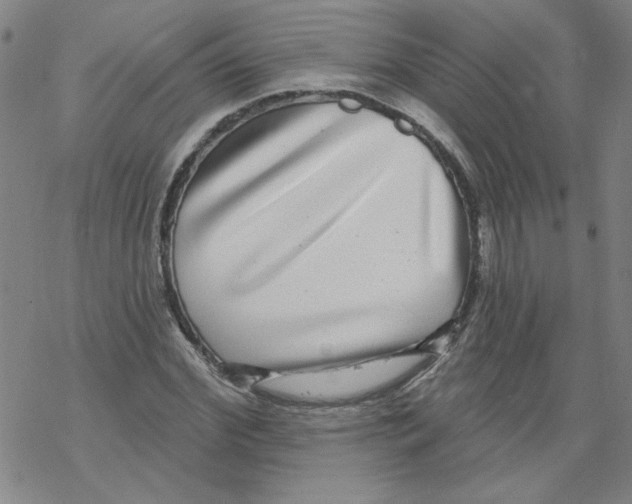 X0000067920972200605112004