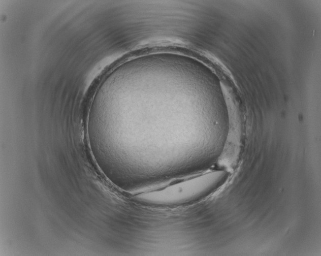 X0000067920973200605112004