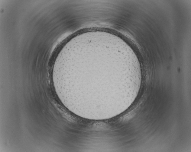 X0000067920974200605112004