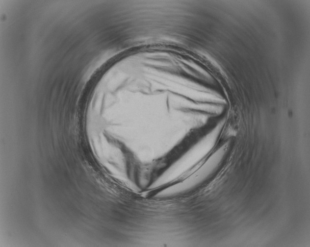 X0000067920975200605112004