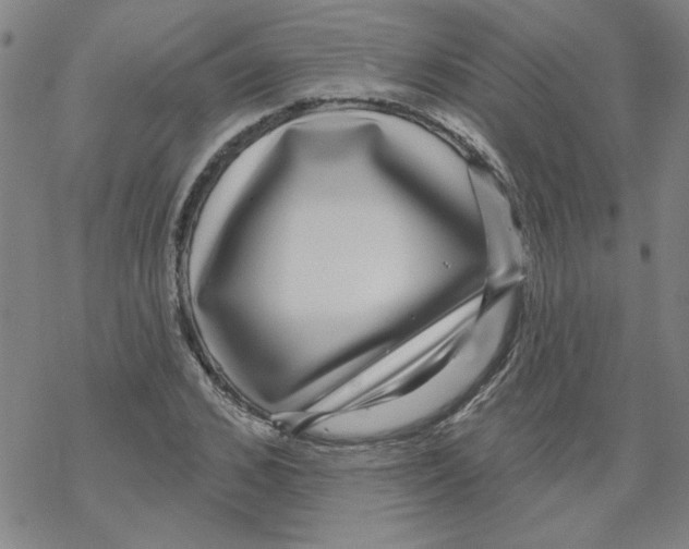 X0000067920976200605112004