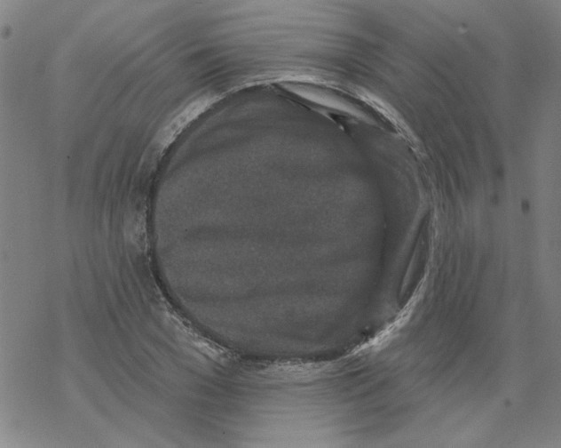 X0000067920977200605112004