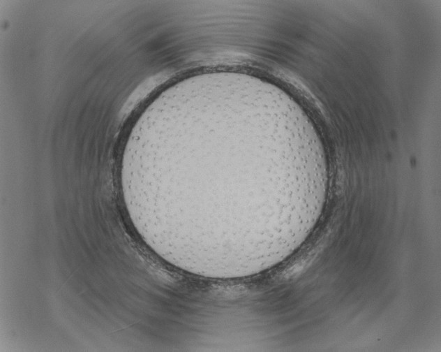 X0000067920978200605112004