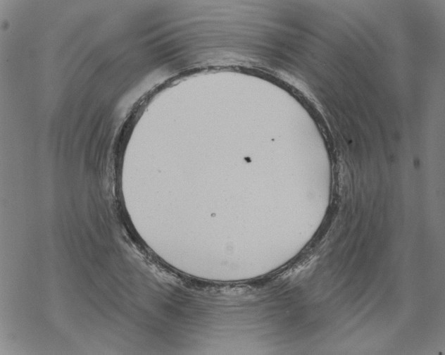 X0000067920979200605112004