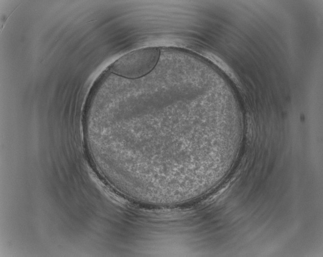 X0000067920980200605112004