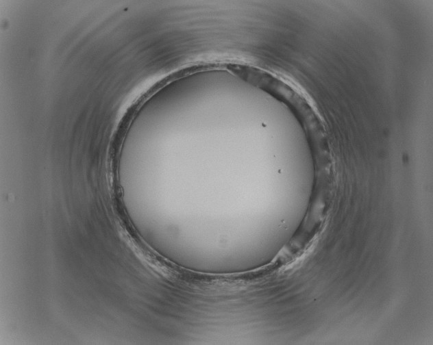 X0000067920981200605112004