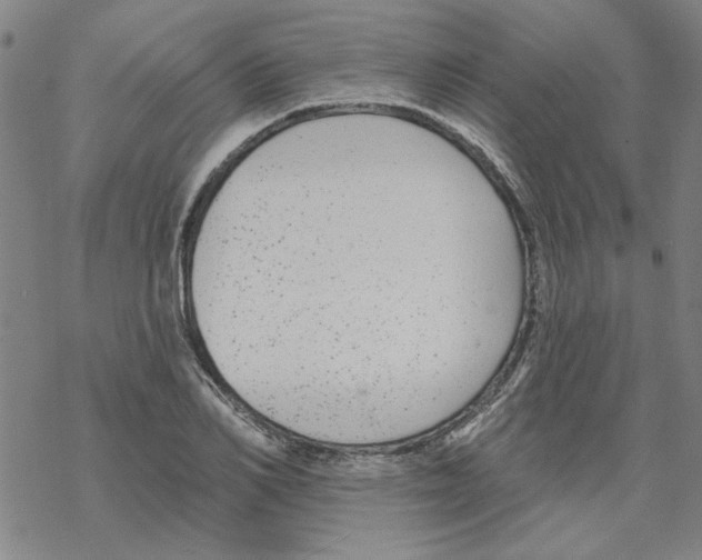 X0000067920982200605112004