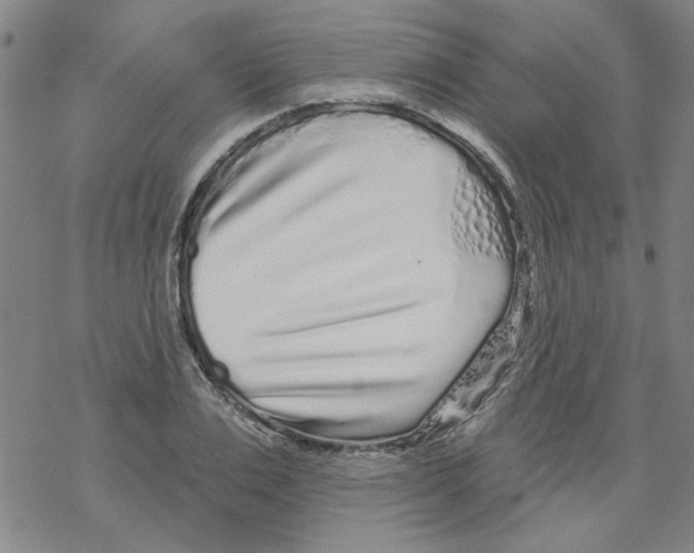 X0000067920983200605112004