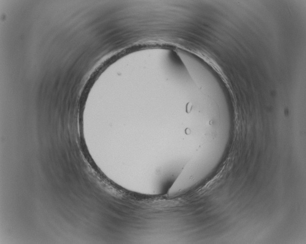 X0000067920984200605112004