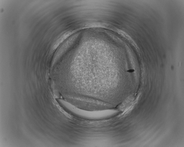 X0000067920985200605112004