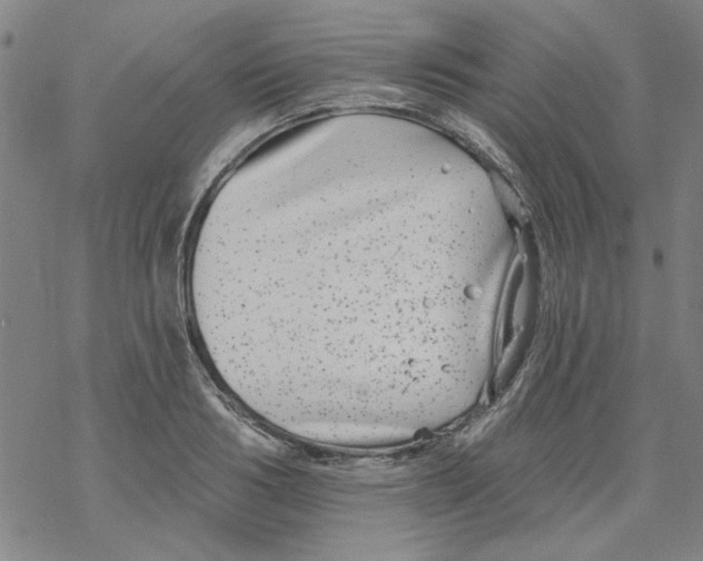 X0000067920986200605112004