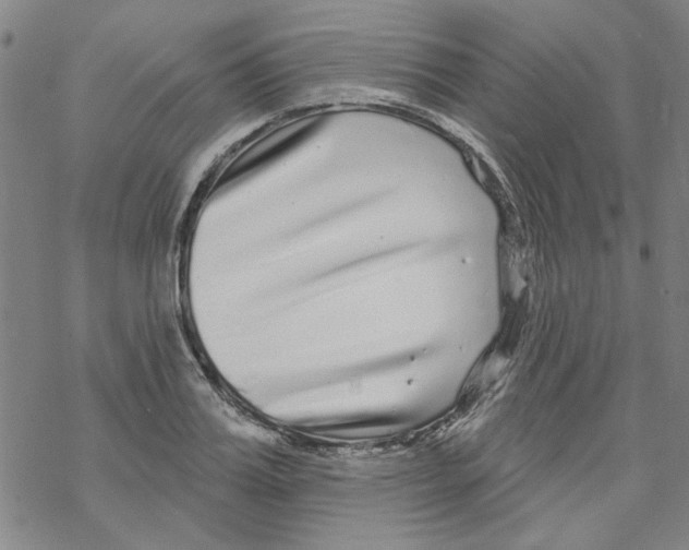 X0000067920987200605112004