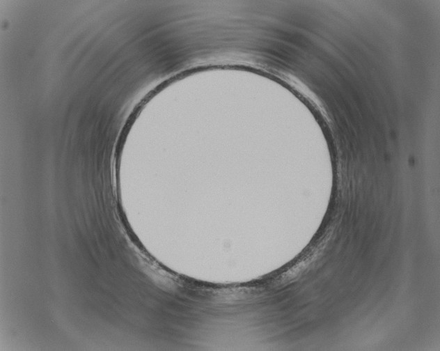 X0000067920988200605112004