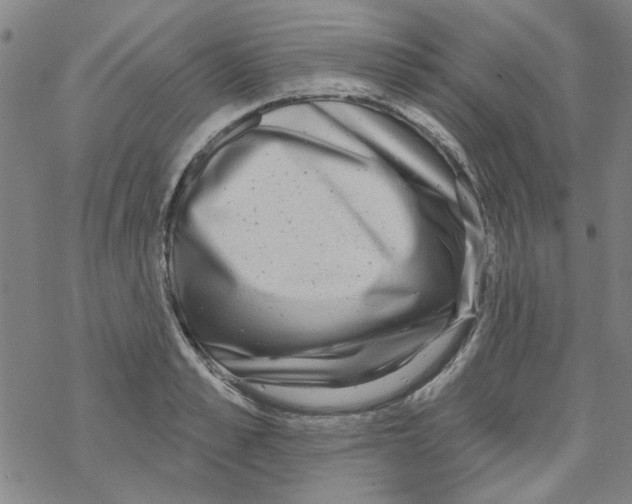 X0000067920989200605112004