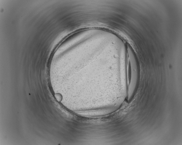 X0000067920990200605112004