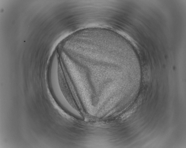 X0000067920991200605112004