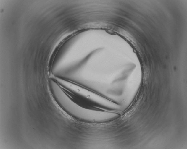 X0000067920992200605112004