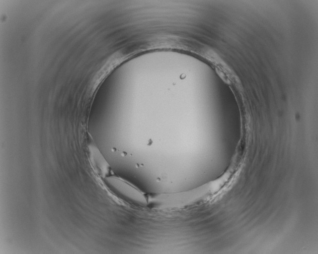 X0000067920993200605112004