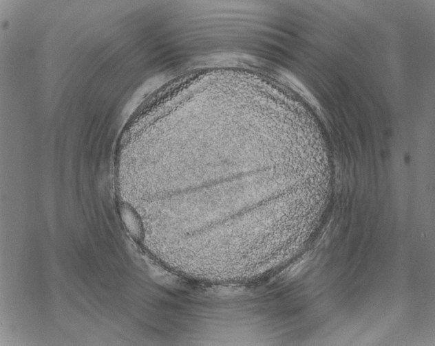 X0000067920994200605112004