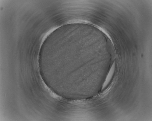 X0000067920995200605112004