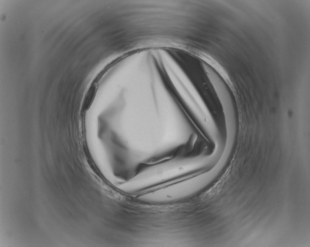 X0000067920996200605112004