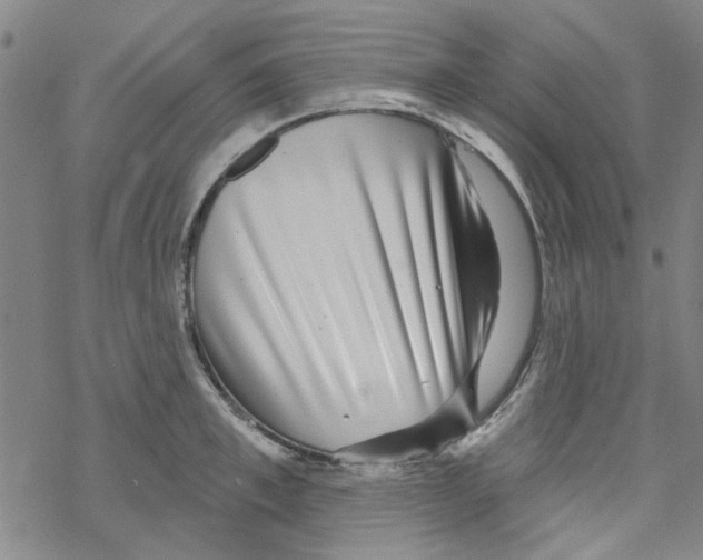 X0000067920997200605112004