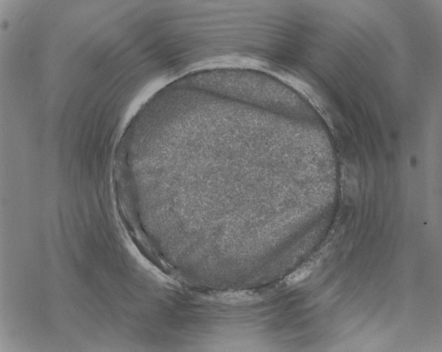 X0000067920998200605112004