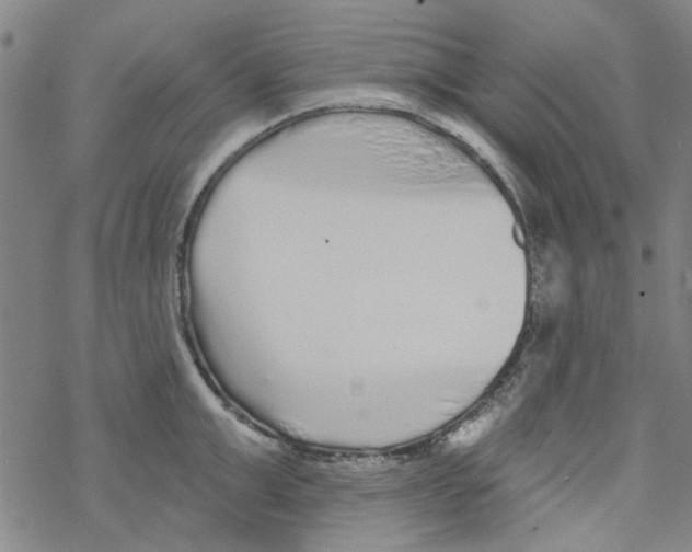 X0000067920999200605112004