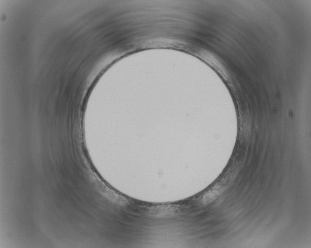 X0000067921000200605112004