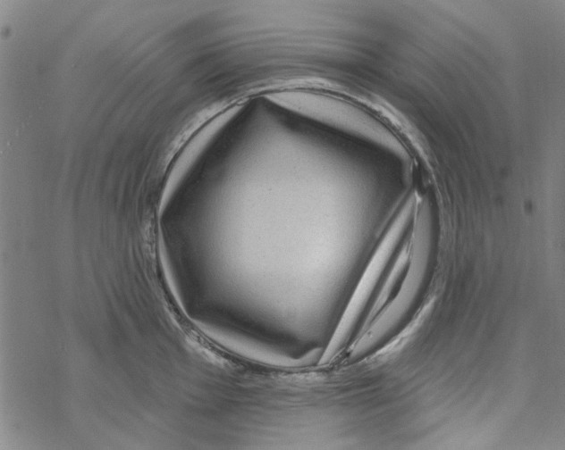 X0000067921001200605112004