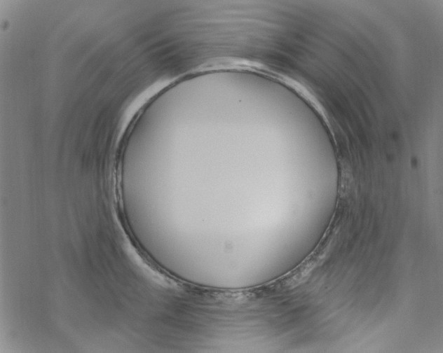 X0000067921003200605112003