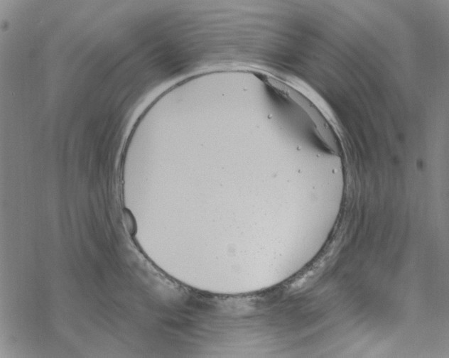 X0000067921004200605112003