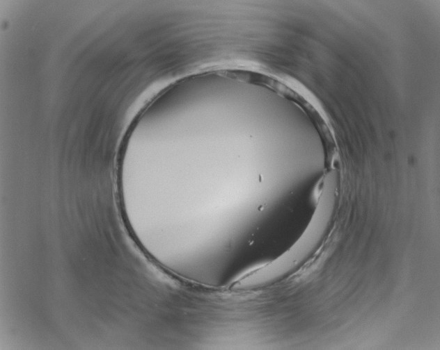 X0000067921005200605112003