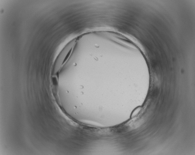 X0000067921006200605112003