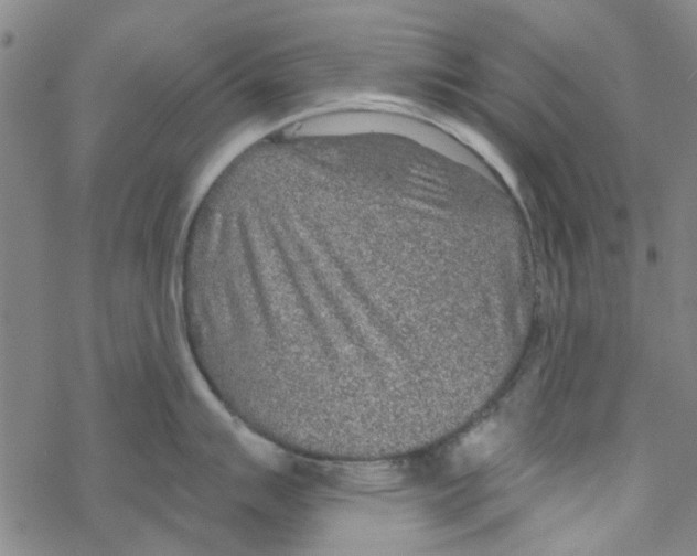 X0000067921007200605112003