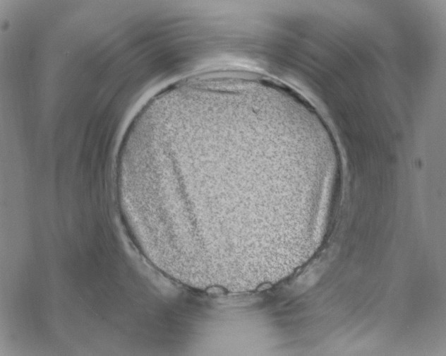 X0000067921008200605112003