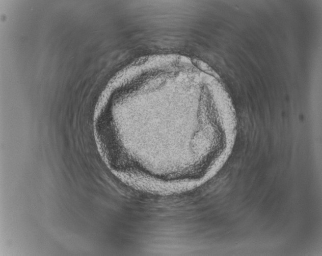 X0000067921009200605112003