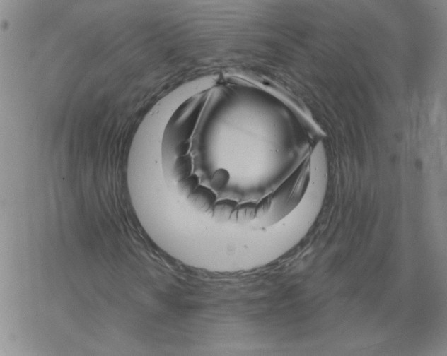 X0000067921010200605112003