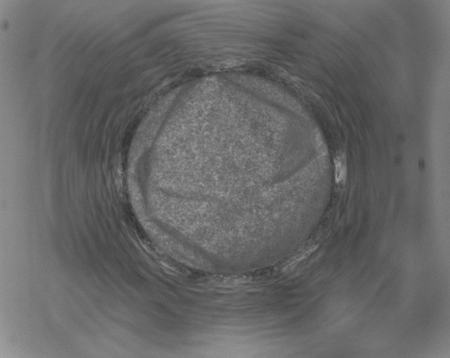 X0000067921011200605112003