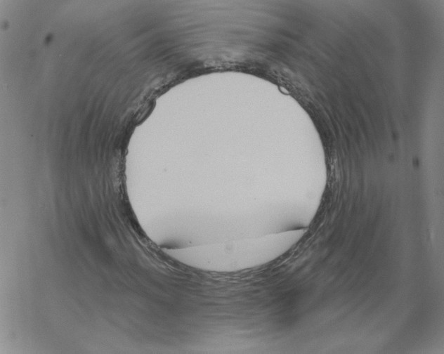 X0000067921012200605112003