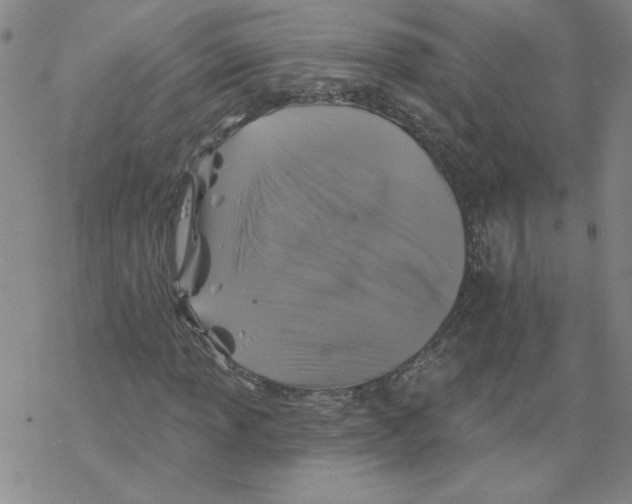 X0000067921013200605112003