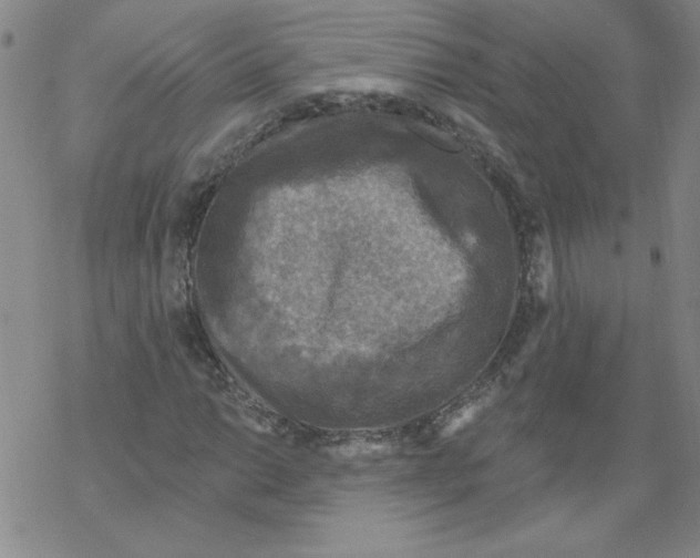 X0000067921014200605112003