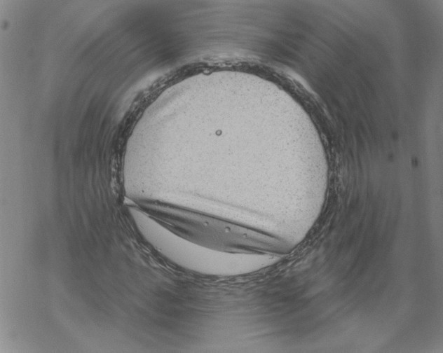 X0000067921016200605112003