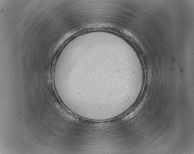 X0000067921017200605112003