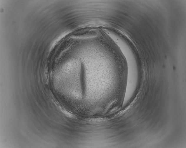 X0000067921018200605112003