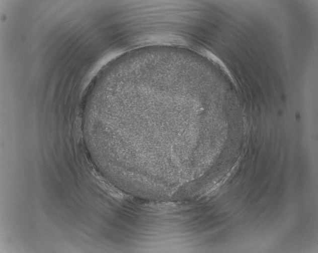 X0000067921019200605112003